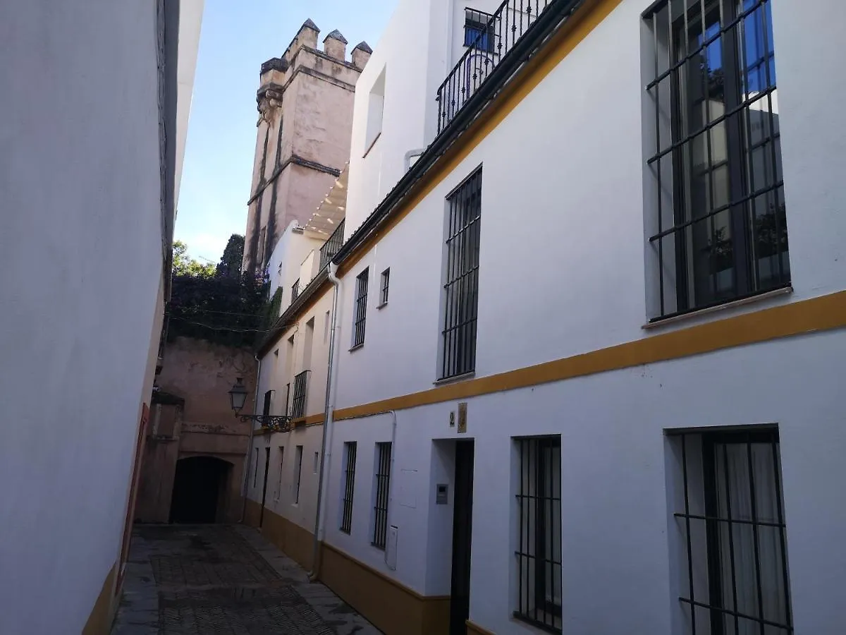 Apartment The Wall Of The Alcazar Palace Seville Spain