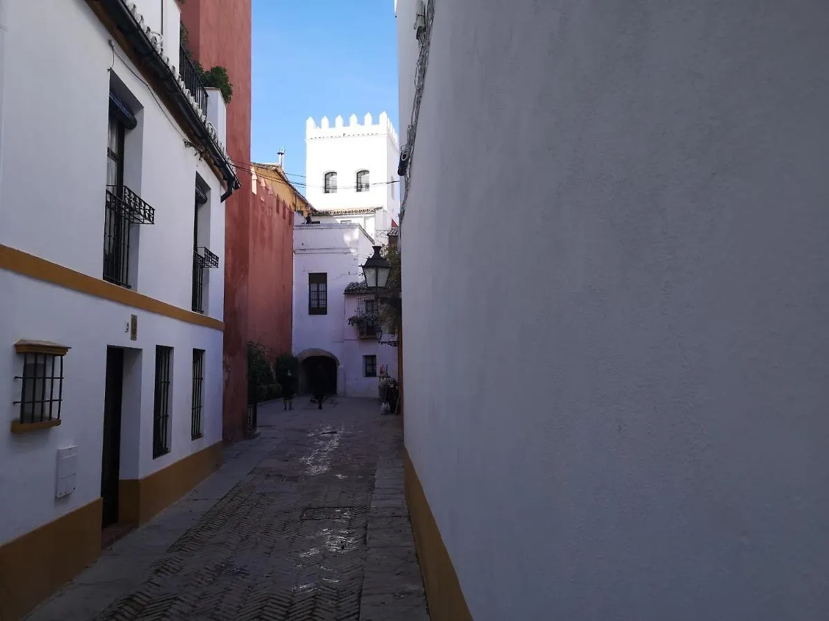 The Wall Of The Alcazar Palace Sevilla